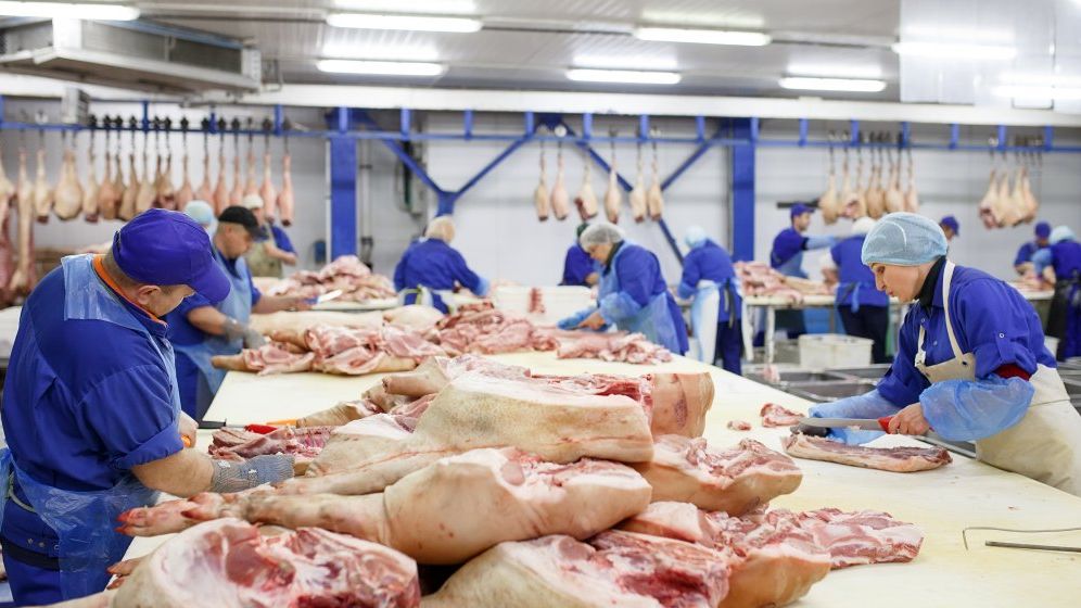 Germania: Raiduri în legătură cu muncitori ilegali aduşi din Estul Europei pentru industria cărnii