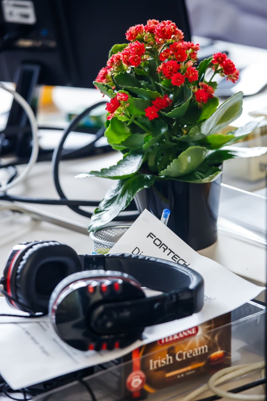 Birou de companie - Fortech (Iasi / Oradea) - Imagine 6