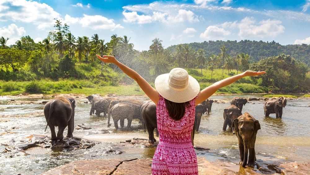 Unde vor românii să ajungă în vacanță, în 2026. Destinații exotice noi pe radarul turiștilor. Leii și elefanții, noile „vedete” ale vacanțelor