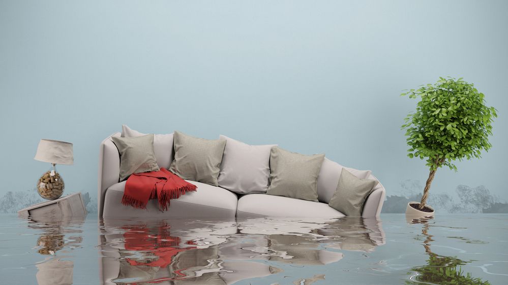 PAID a platit cele mai mari despagubiri in judetele Valcea, Galati si Vrancea in ultimii 5 ani pentru inundatii, alunecari de teren si cutremur