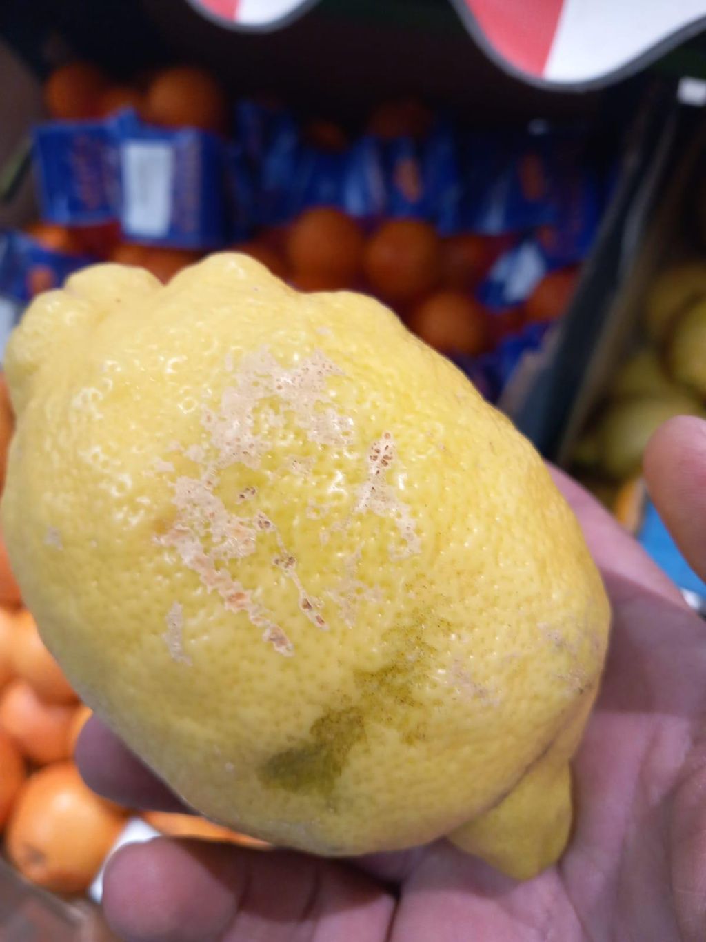 FOTO | Amenzi ANPC pentru magazine din rețelele Mega Image, Lidl, Profi, Kaufland, Carrefour și Au - Imagine 31