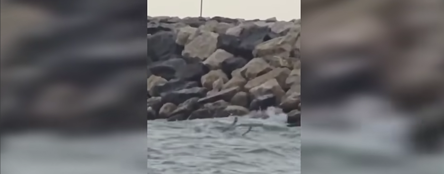 VIDEO: Fragment dintr-o dronă, găsit în mare la Costinești. Zona a fost evacuată