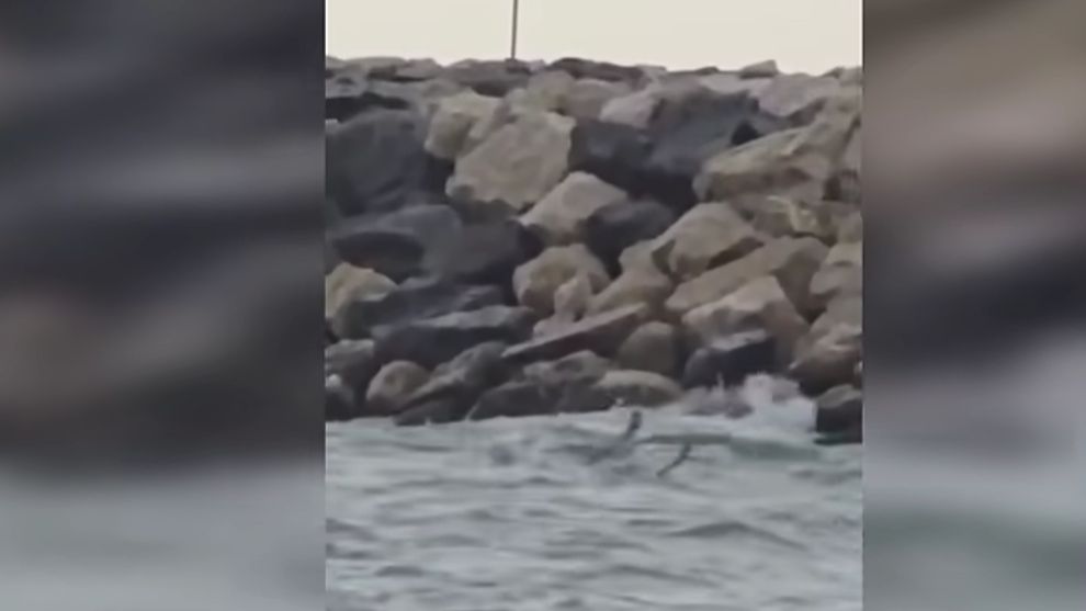 VIDEO: Fragment dintr-o dronă, găsit în mare la Costinești. Zona a fost evacuată