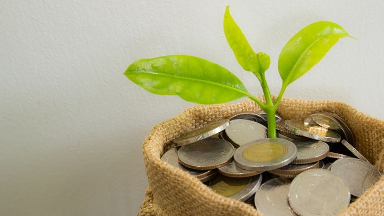 Studiu Instant Factoring despre microintreprinderile din Romania: cum arata situatia acestui segment