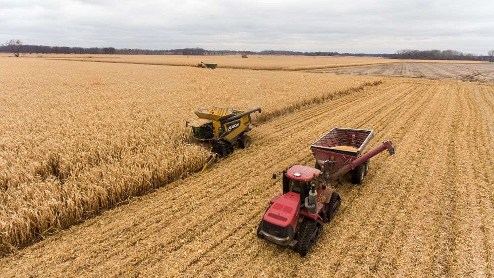 Programul Agro IMM Invest ar putea avea în 2022 un buget de 5 miliarde de lei
