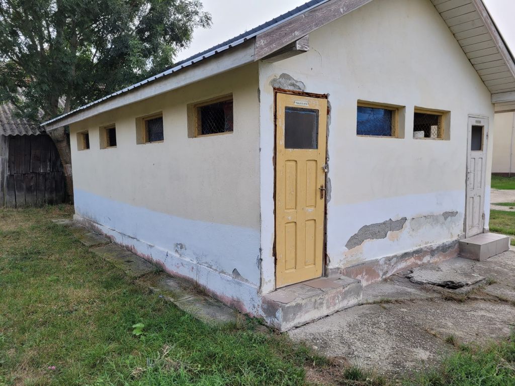 GALERIE FOTO: Cum ar fi ca toaletele din fundul curții să fie mutate în interiorul școlii? O aso - Imagine 8