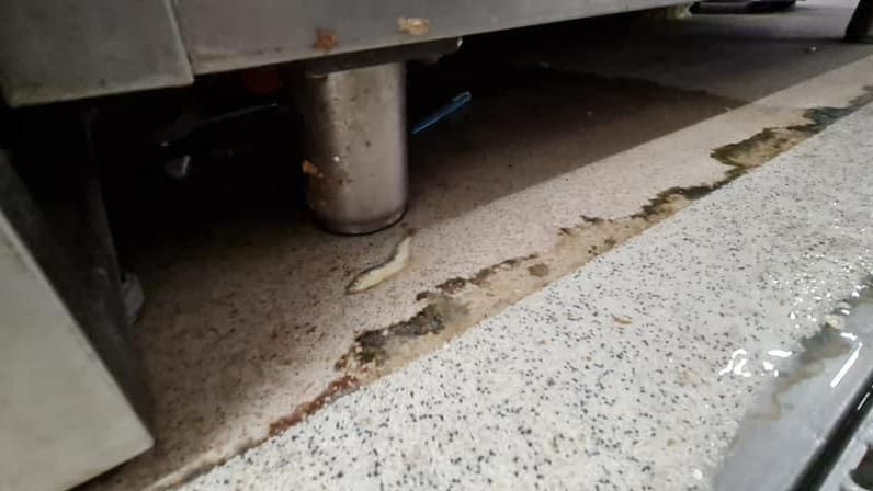 ANPC lovește din nou: raionul de pește viu al unui magazin Auchan a fost închis