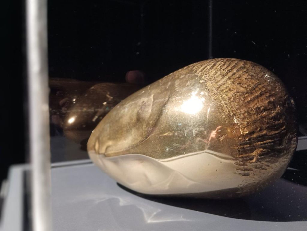 Expoziția Brâncuși de la Timișoara: capodoperele, în vizită în patria părintelui lor - Imagine 40