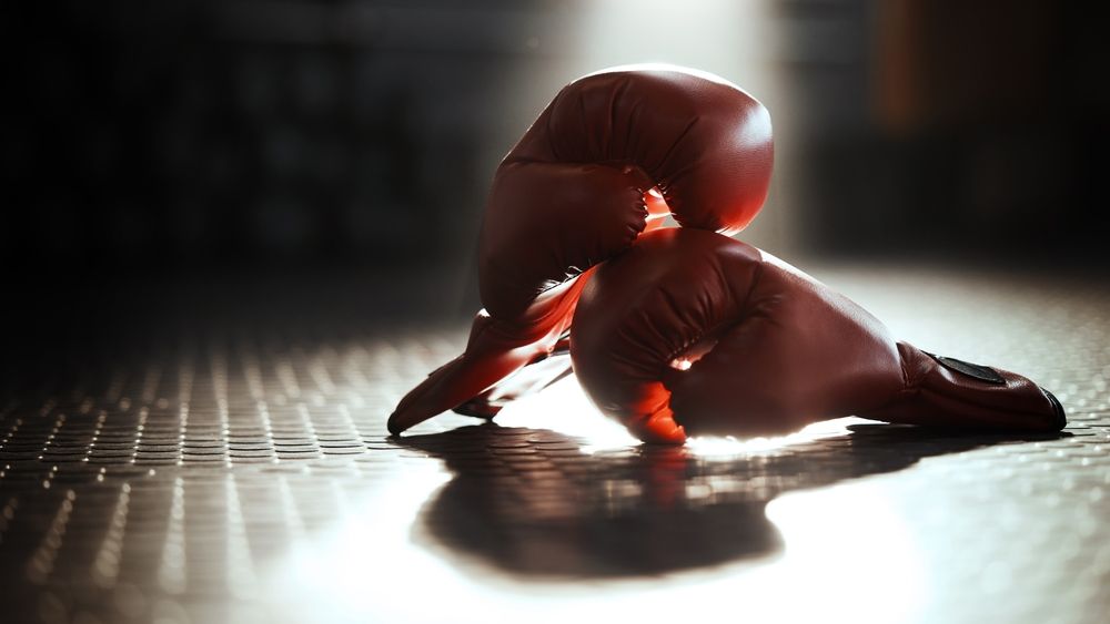 ANAF intră în ring: O firmă cu peste 30.000 de abonați la lupte MMA online este acuzată de o fraudă de 26 de milioane de lei