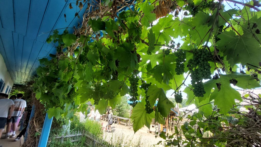 GALERIE FOTO | Cum arată cel mai spectaculos muzeu în aer liber al României - Imagine 23