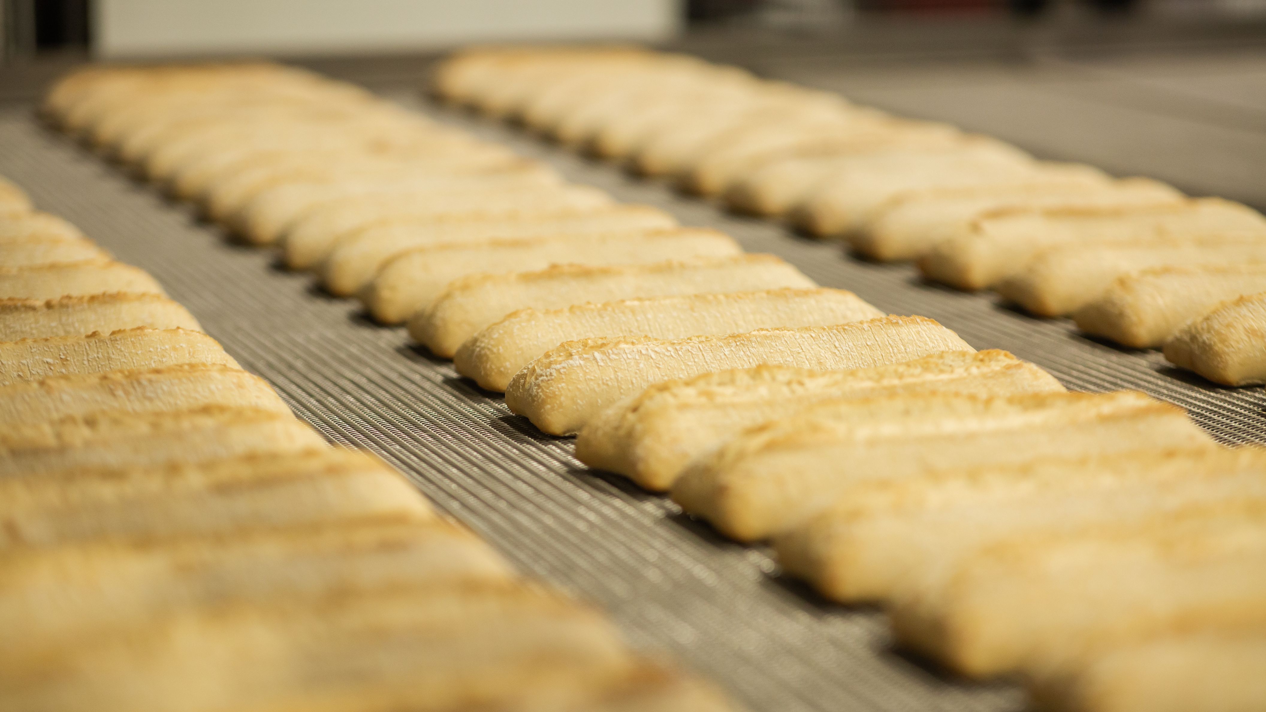 [FOTO] Fabrica de panificatie din Campia Turzii a investit 12,5 mil. euro intr-o noua linie de productie si angajeaza 60 de oameni