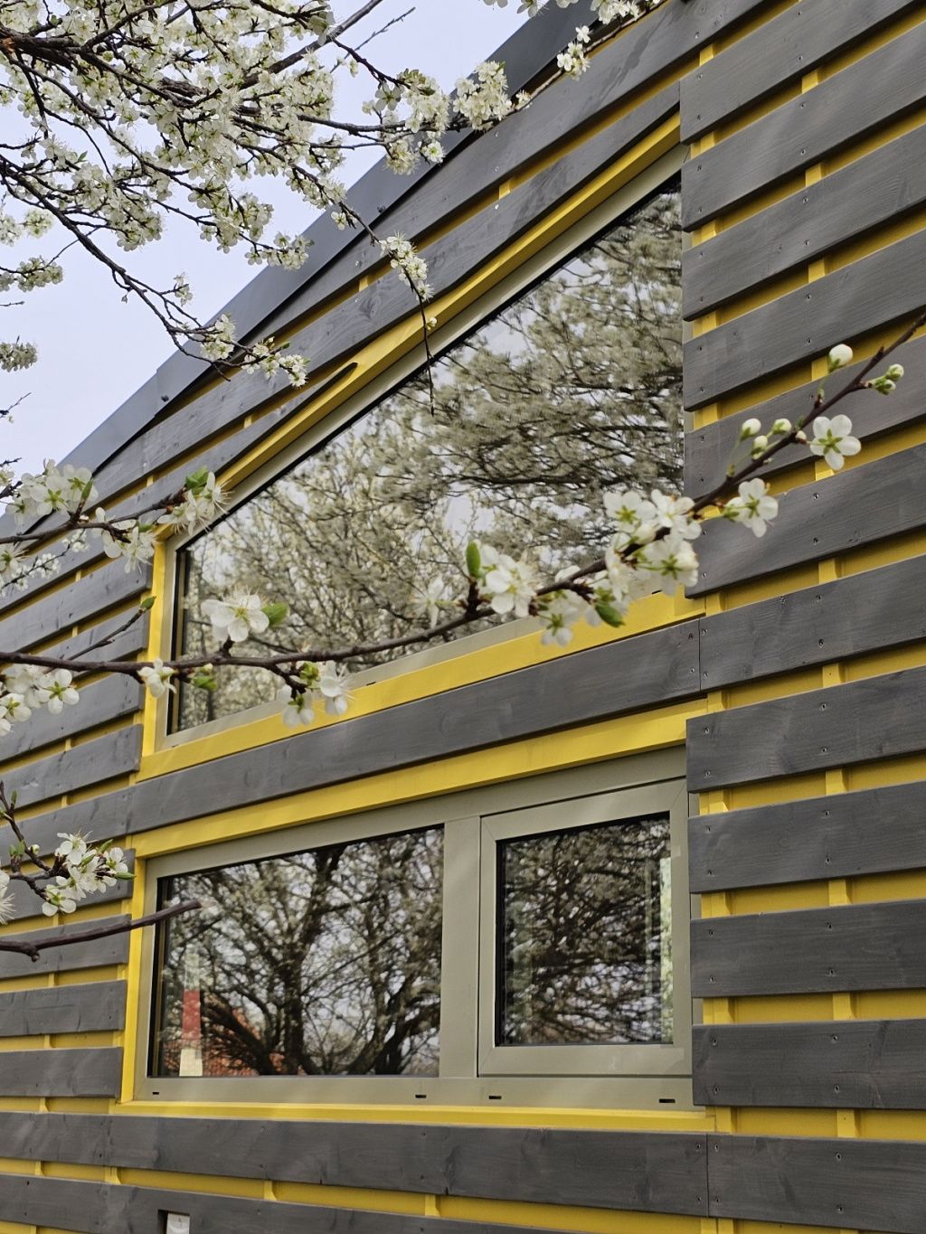 FOTO | Ai da garsoniera ta pe un Tiny House sau o casă modulară? Prețurile încep de la 7.000 de - Imagine 1