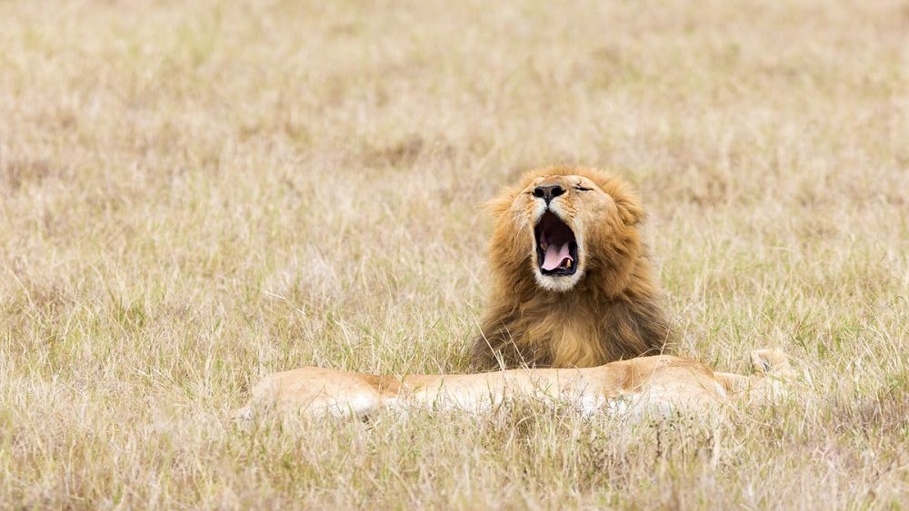 TOP 5 cele mai ”sălbatice” regiuni de vizitat