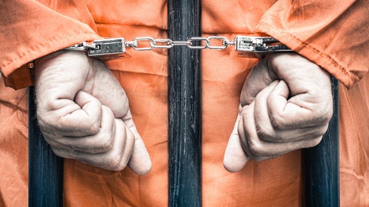 Detinutii, pusi la treaba: au curatat de gunoaie paduri si zone protejate