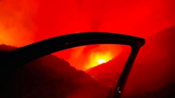Nu numai Grecia suferă: incendiile necontrolate fac ravagii în Turcia
