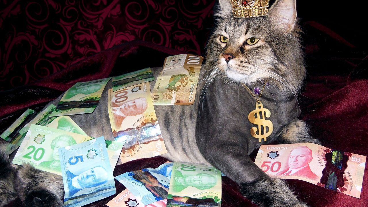 Inflația a lovit bogații lumii: Peste 400 de persoane din întreaga lume şi-au pierdut statutul de miliardari