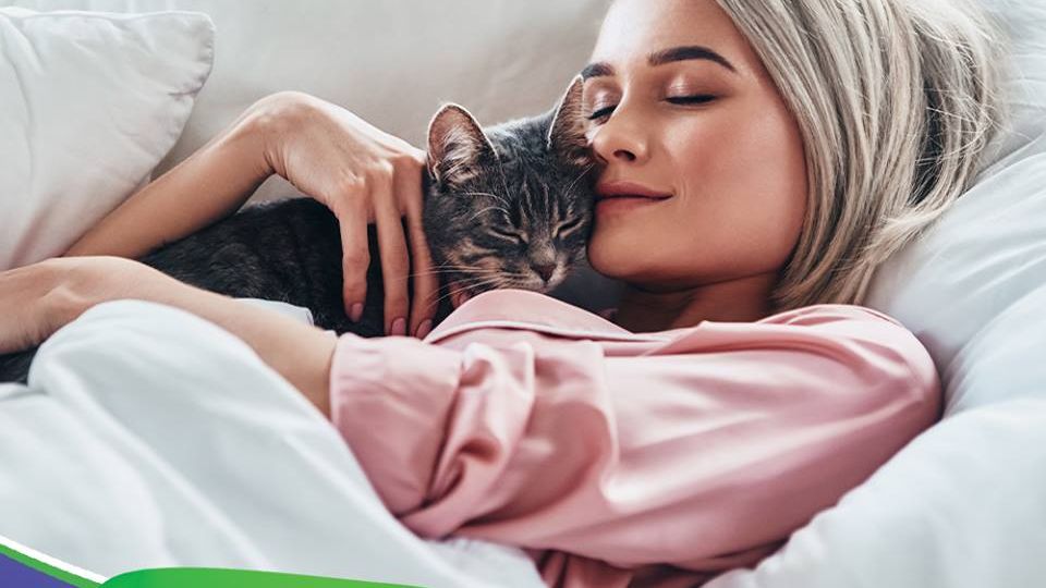 (P) Creeaza povesti si adormi usor!