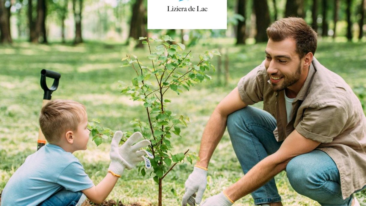 Liziera de Lac - proiectul rezidențial din mijlocul naturii