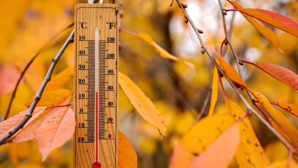 Prognoza ANM pentru următoarele două săptămâni. Ce temperaturi sunt așteptate în București și în restul țării