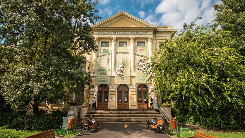 Ziua Culturii Naționale, 15 ianuarie 2025: acces gratuit în mai multe muzee din țară | Lista evenimentelor și a spectacolelor