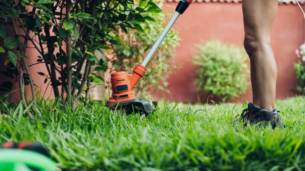 Puterea verde din grădina ta: motocoasa pe benzină