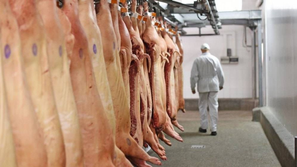 Producția de carne a României, în creștere la toate speciile de animale și păsări