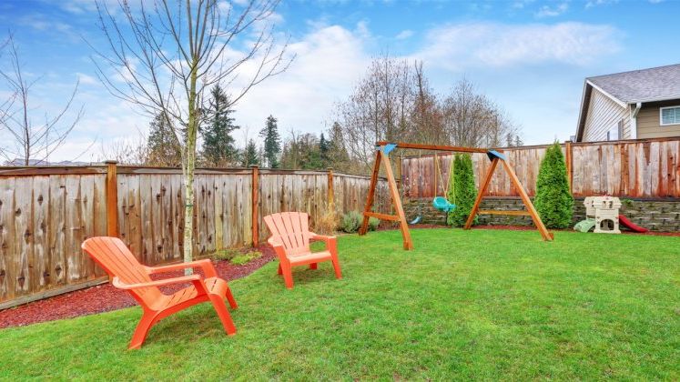 Ministrul Agriculturii, despre proiectul de lege privind vanzarea terenurilor: Limita va fi de 500 de hectare pentru persoanele juridice si 150 de hectare pentru persoanele fizice