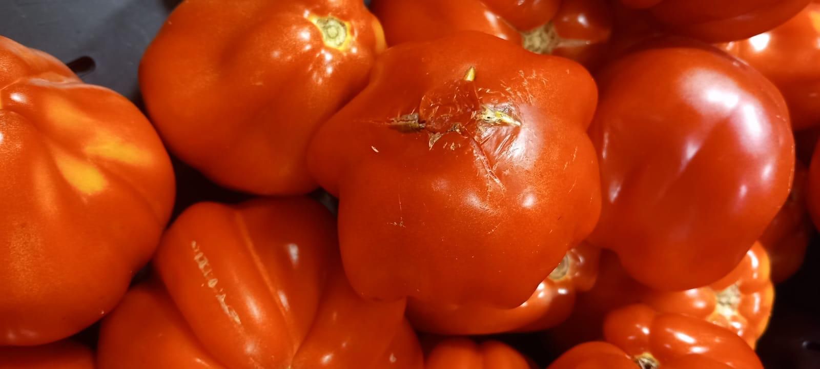 ANPC a împărțit amenzi de peste un milion de lei pe litoral. Ce nereguli au fost găsite - Poza 8