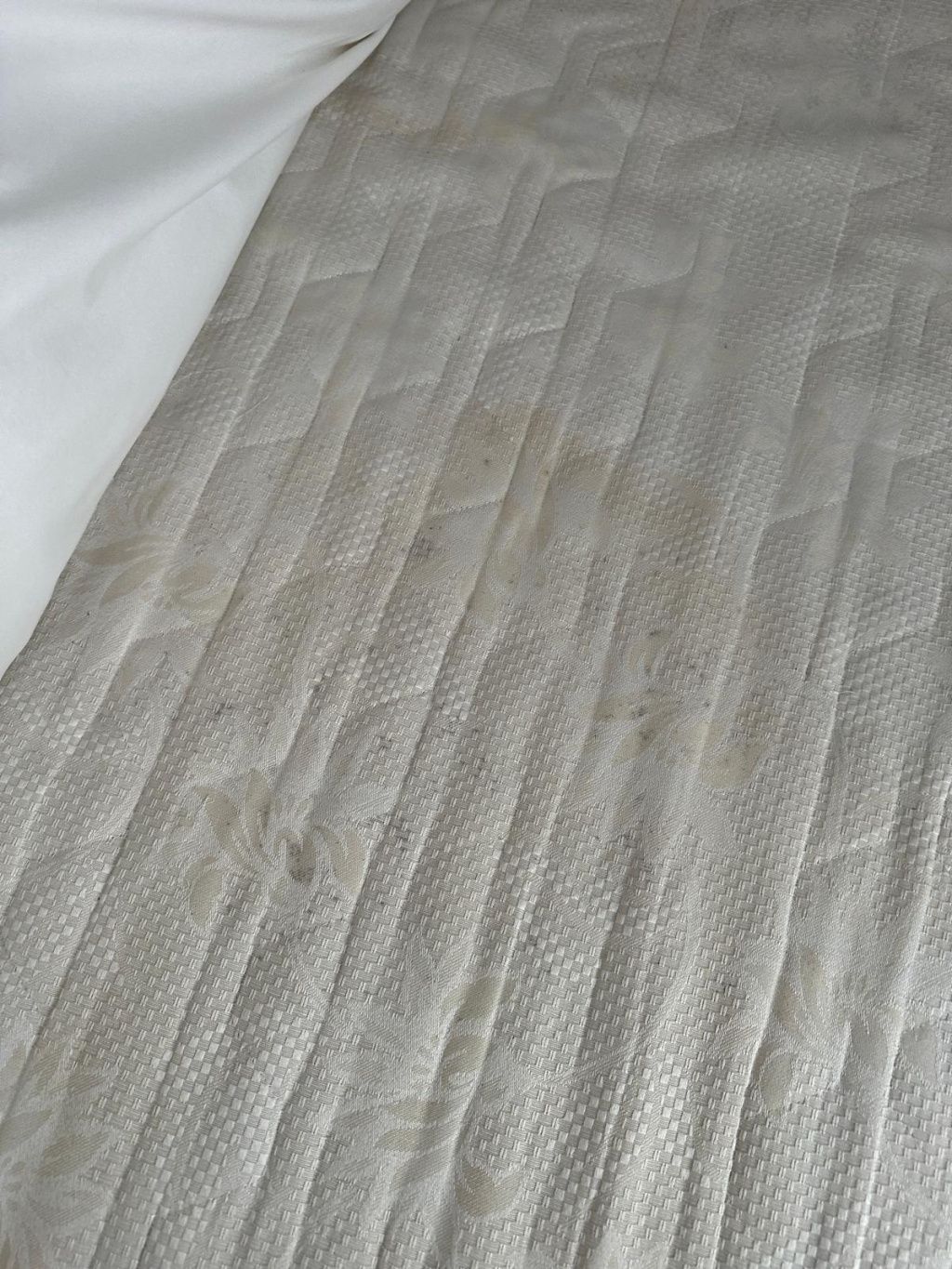 GALERIE FOTO | ANPC a dat amenzi de 1,7 milioane de lei hotelierilor de la munte - Imagine 28