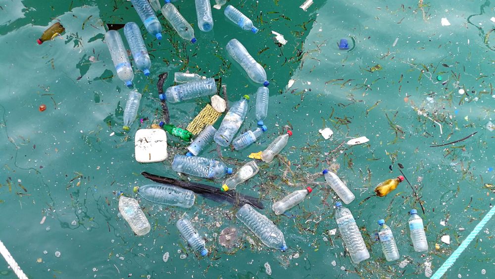 Comisia Europeana analizeaza interzicerea ambalajelor din plastic