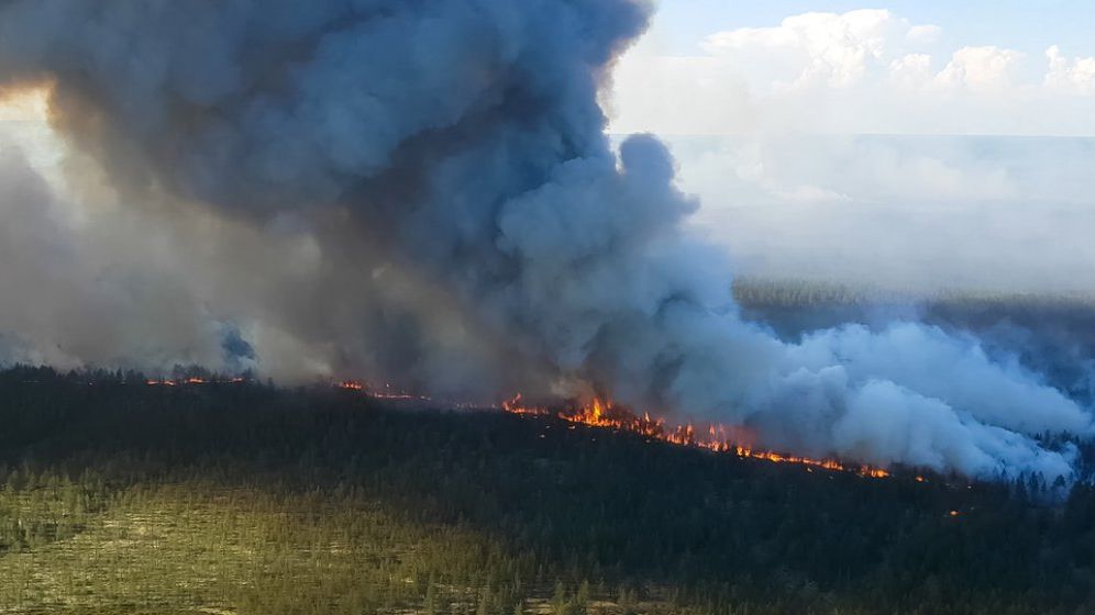 Greenpeace avertizează că incendiul din Siberia ar putea fi cel mai mare din istorie