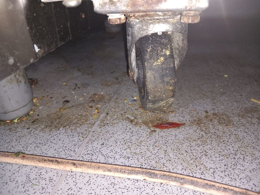 Controale la Taverna Racilor din Herăstrău - Imagine 12