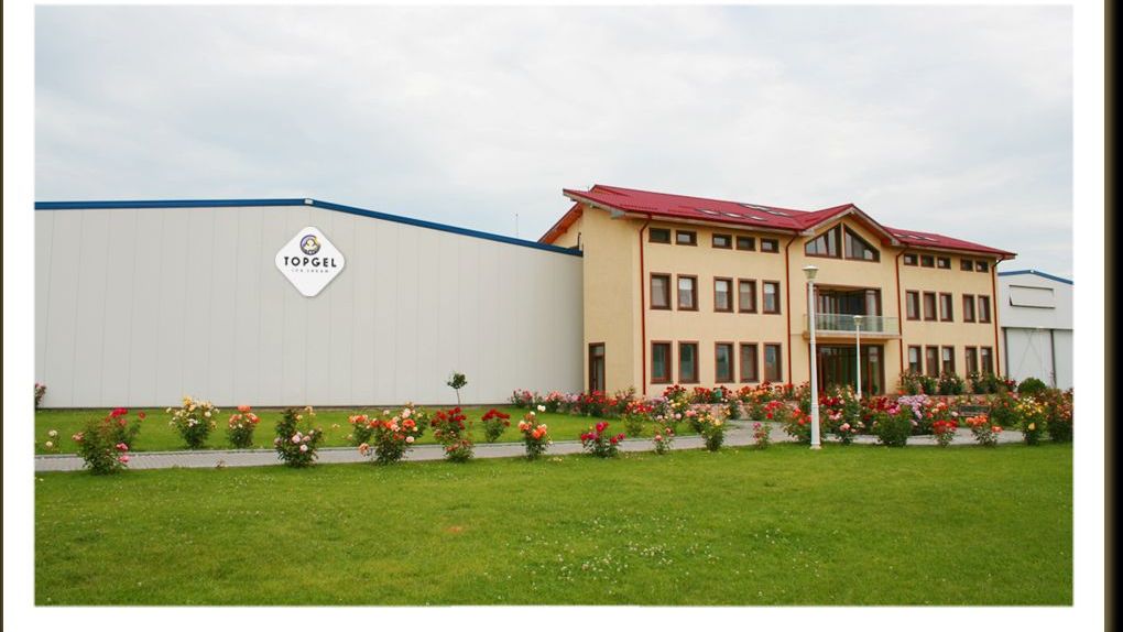 Cum se transformă o afacere de familie în una de top 3 pe ţară