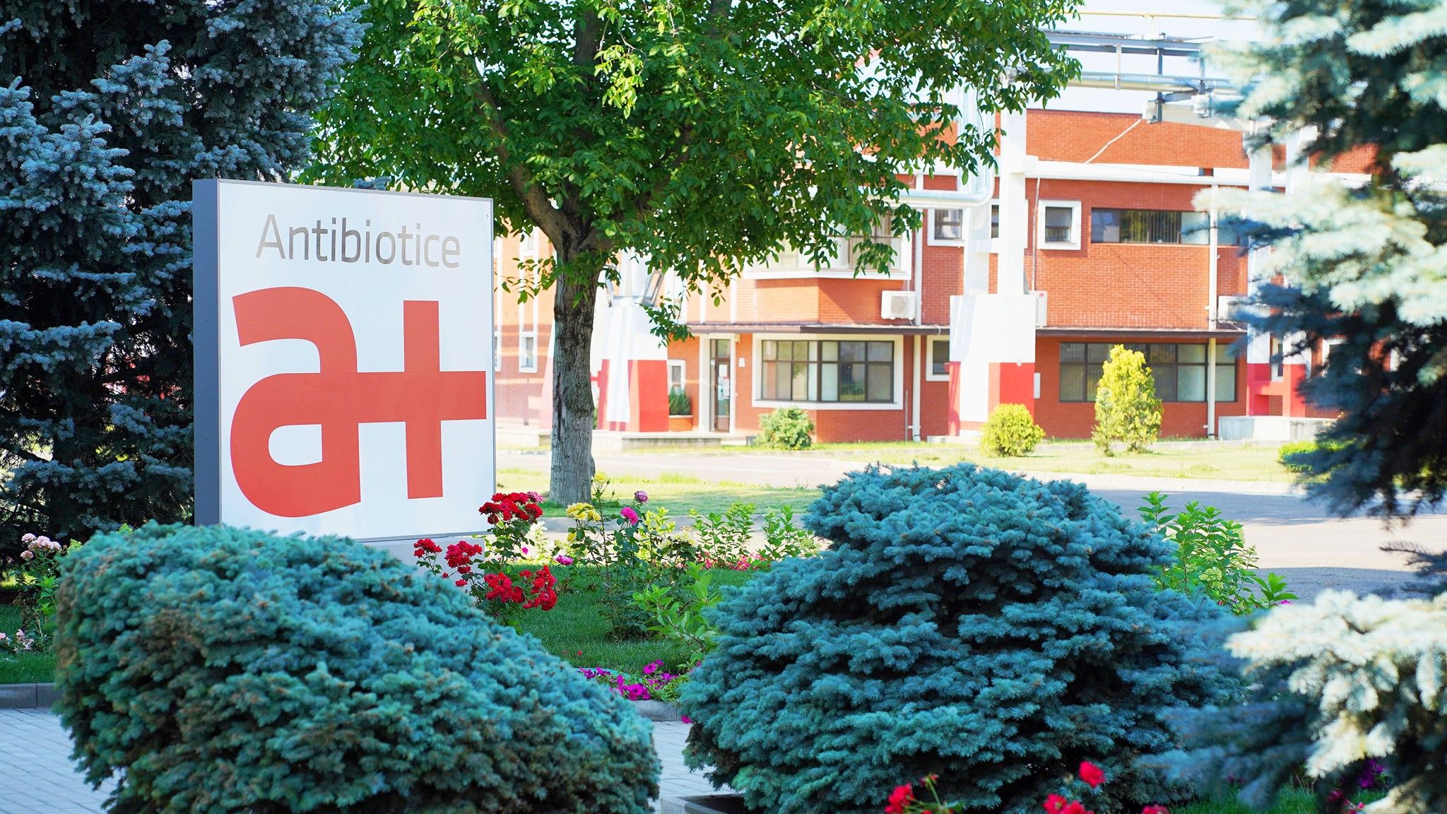 Antibiotice estimează vânzări mai mari cu 25% în SUA și intră pe piața farmaceutică din Spania