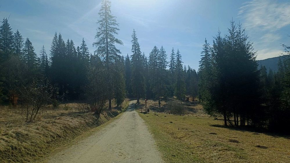 FOTO: De ce să nu mai ocolești stațiunea Borsec în drumul tău cu mașina: „Renașterea Borsecului se întâmplă acum”