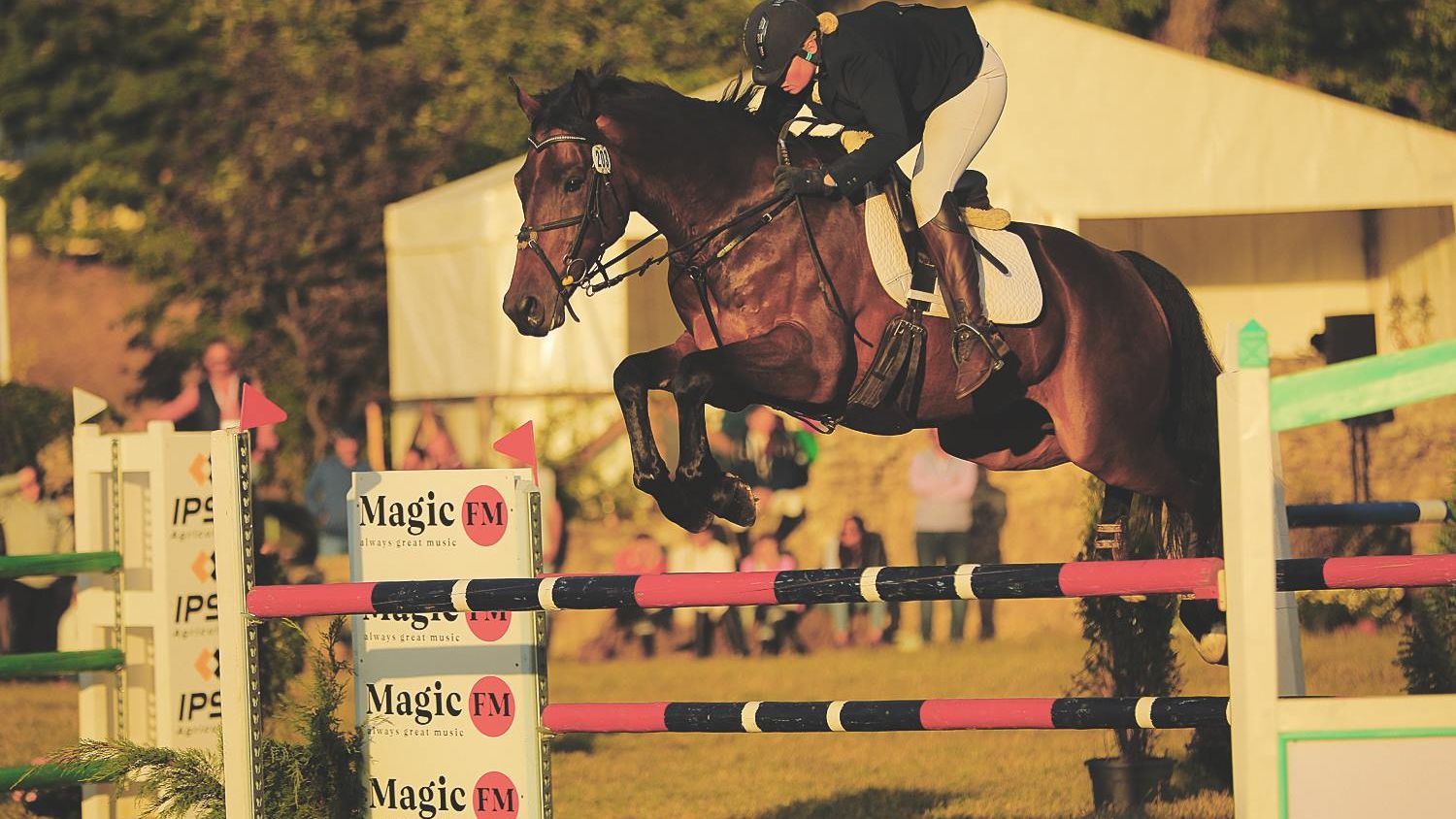 Concursul Complet Internațional de la Karpatia Horse Show, Florești, Prahova