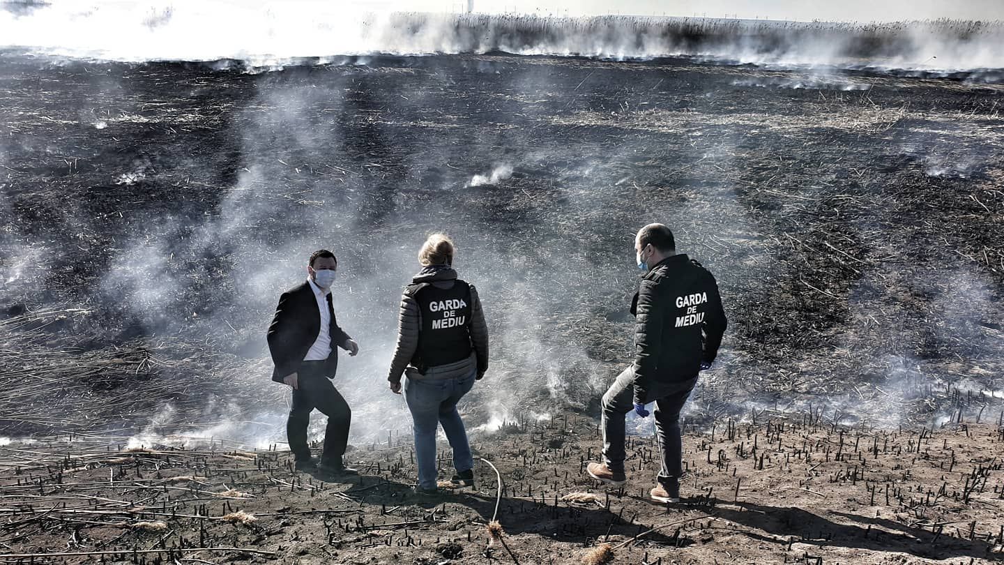 Ecopolis: 23 de episoade cu depăşiri ale poluării cu PM10 şi PM2.5 în Bucureşti, în ultima lună