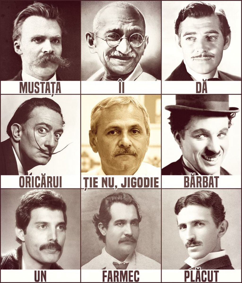 PSD Dragnea - Imagine 18