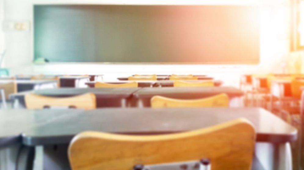 Ministrul Educatiei nu suspenda cursurile dupa ce s-a declarat epidemie de gripa: Se decide la nivel local