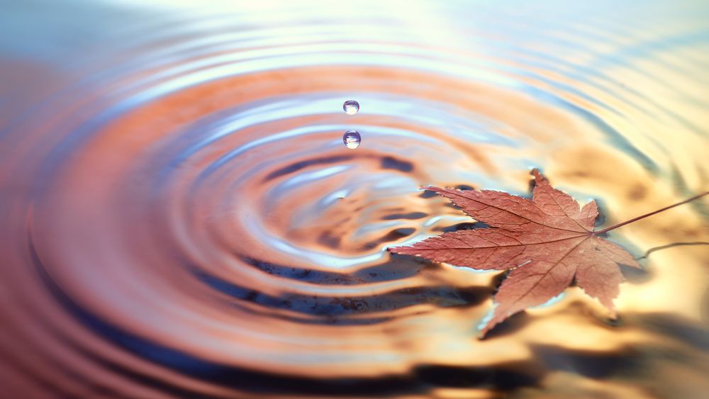 ANM: Temperaturi in crestere in aceasta saptamana. Dupa 22 septembrie, cresc sansele de ploaie