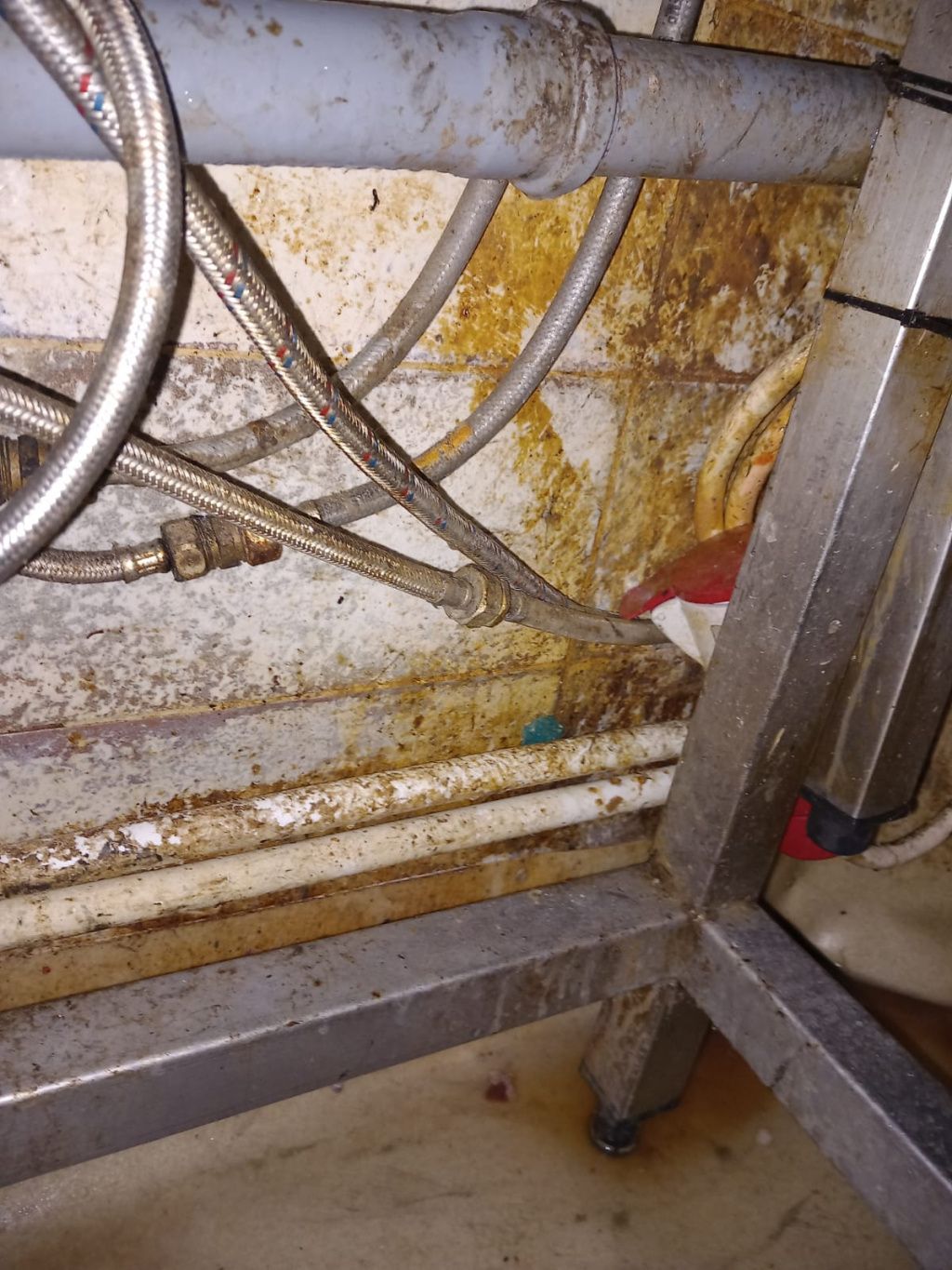 Controale la Taverna Racilor din Herăstrău - Imagine 2
