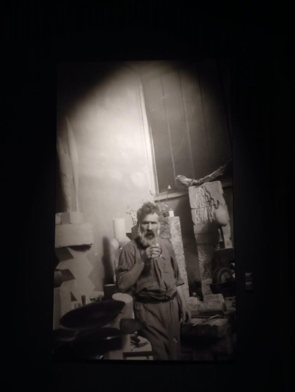 Expoziția Brâncuși de la Timișoara: capodoperele, în vizită în patria părintelui lor - Imagine 63