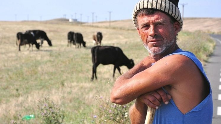 LAPAR: Prevederile legale in vigoare stimuleaza munca "la negru" in agricultura