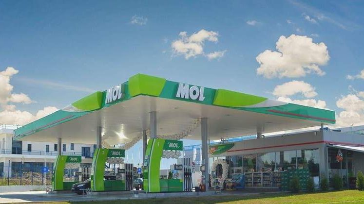 MOL Romania finanteaza 50 de proiecte de mediu