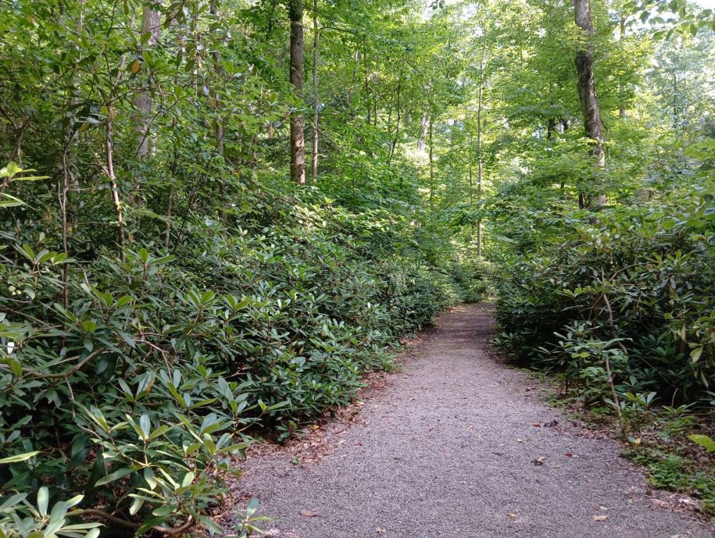 Cum arată Fallingwater, cea mai frumoasă casă din America, construită pe o cascadă - Imagine 62