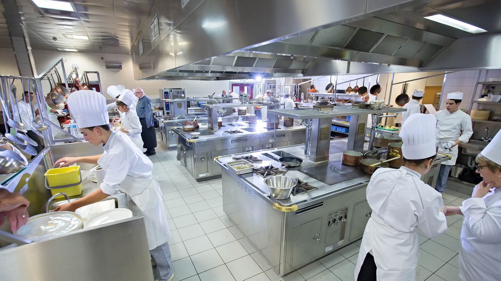Hendi România: Partener în echiparea integrată a fluxurilor gastronomice profesionale