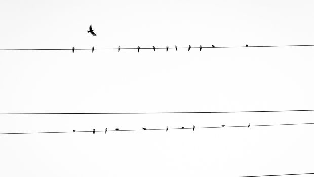 Criza mijlocului de cariera