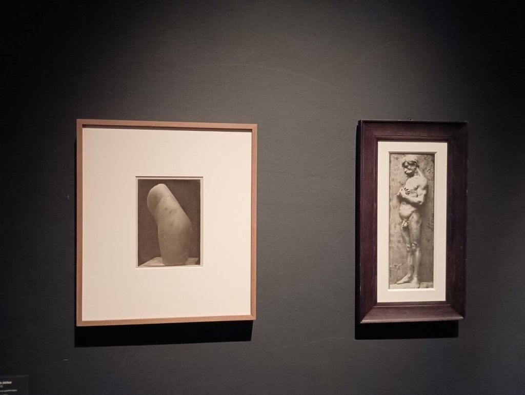 Expoziția Brâncuși de la Timișoara: capodoperele, în vizită în patria părintelui lor - Imagine 53