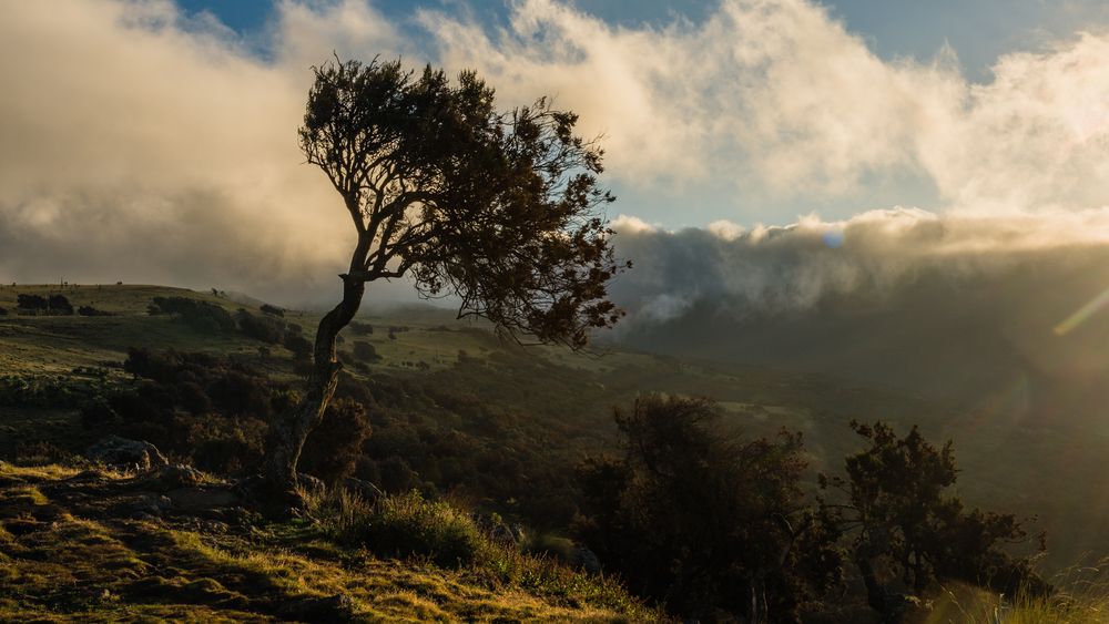 Intensificari ale vantului de 110 km/h in zone montane in judetele Caras-Severin si Hunedoara