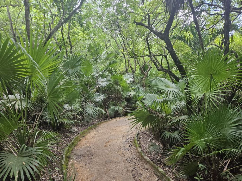 Mexic Peninsula Yucatan - Imagine 50